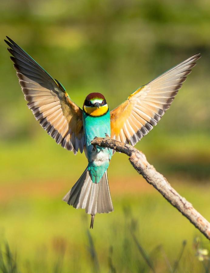 Casa De Los Pajaros Севилья Экстерьер фото